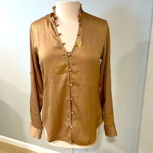 Shimmery Blouse with Covered Buttons